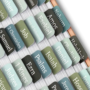 image:imageMr Pen Bible Tabs 75 Pcs Laminated Tabs for Old amp New Testament Bible Tabs for Women and Men Tabs for Study Bible Bible Index TabsFrozen Lake