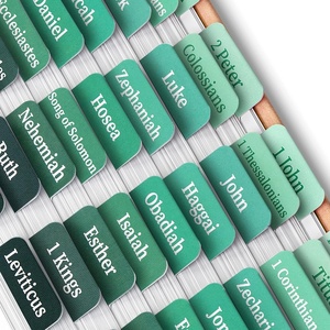 image:imageMr Pen Bible Tabs 75 Pcs Laminated Tabs for Old amp New Testament Bible Tabs for Women and Men Tabs for Study Bible Bible Index TabsJade Veil