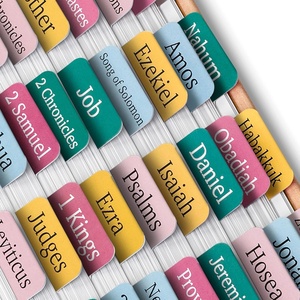 image:imageMr Pen Bible Tabs 75 Pcs Laminated Tabs for Old amp New Testament Bible Tabs for Women and Men Tabs for Study Bible Bible Index TabsSerene Spring