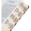 Catholic Bibles