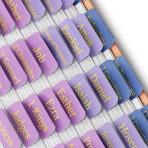 image:imageMr Pen Laminated Bible Tabs 75 pcs EasytoRead amp Apply Tear Resistant Index Tabs for Women and Men Bible Study Journaling Prayer amp Scripture NavigationRoseate Dusk