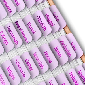 image:imageMr Pen Laminated Bible Tabs 75 pcs EasytoRead amp Apply Tear Resistant Index Tabs for Women and Men Bible Study Journaling Prayer amp Scripture NavigationDusty Lilac
