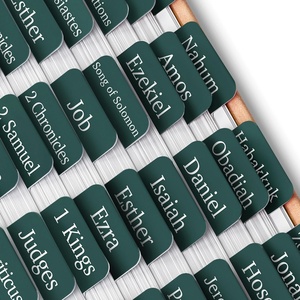 image:imageMr Pen Laminated Bible Tabs 75 pcs EasytoRead amp Apply Tear Resistant Index Tabs for Women and Men Bible Study Journaling Prayer amp Scripture NavigationElegant Green