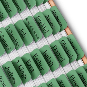 image:imageMr Pen Laminated Bible Tabs 75 pcs EasytoRead amp Apply Tear Resistant Index Tabs for Women and Men Bible Study Journaling Prayer amp Scripture NavigationForest Green