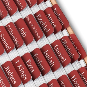 image:imageMr Pen Laminated Bible Tabs 75 pcs EasytoRead amp Apply Tear Resistant Index Tabs for Women and Men Bible Study Journaling Prayer amp Scripture NavigationMahogany