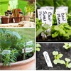 image:imageMr Pen Garden Markers Black 4 Pack Plant Markers  Garden Markers for Plants Outdoor Waterproof Plant Markers for Seedlings Waterproof Permanent MarkerBlack Garden Markers