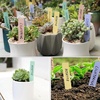 image:imageMr Pen Garden Markers Black 4 Pack Plant Markers  Garden Markers for Plants Outdoor Waterproof Plant Markers for Seedlings Waterproof Permanent MarkerPastel Plant Labels