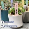 image:imageMr Pen Garden Markers Black 4 Pack Plant Markers  Garden Markers for Plants Outdoor Waterproof Plant Markers for Seedlings Waterproof Permanent MarkerPastel Plant Labels