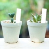 image:imageMr Pen Garden Markers Black 4 Pack Plant Markers  Garden Markers for Plants Outdoor Waterproof Plant Markers for Seedlings Waterproof Permanent MarkerWhite Plant Labels