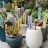 image:imageMr Pen Garden Markers Black 4 Pack Plant Markers  Garden Markers for Plants Outdoor Waterproof Plant Markers for Seedlings Waterproof Permanent MarkerPastel Plant Labels