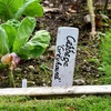 image:imageMr Pen Garden Markers Black 4 Pack Plant Markers  Garden Markers for Plants Outdoor Waterproof Plant Markers for Seedlings Waterproof Permanent MarkerBlack Garden Markers