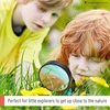 image:imageMr Pen Magnifying Glass 2 Pack 5X Magnifier 75mm Glass Lens  Magnifier for Reading for Close Work NonSlip Handheld Reading Magnifier for Kids and Seniors Nature ExplorationRed  Green
