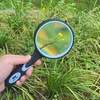 image:imageMr Pen Magnifying Glass 2 Pack 5X Magnifier 75mm Glass Lens  Magnifier for Reading for Close Work NonSlip Handheld Reading Magnifier for Kids and Seniors Nature ExplorationPastel