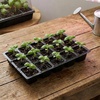 image:imageMr Pen Seed Starter Tray Kit 5 Pack Total 350 Cells  Durable Plant Germination Trays with Humidity Vented Domes and Bases Ideal for Seed Starting15Cells 5Pack