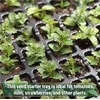 image:imageMr Pen Seed Starter Tray Kit 5 Pack Total 350 Cells  Durable Plant Germination Trays with Humidity Vented Domes and Bases Ideal for Seed Starting70Cells 5Pack