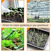 image:imageMr Pen Seed Starter Trays 5 Pack 17x10x24  Durable Plastic Growing Trays Stackable and Reusable Seedling Starter Kits for Indoor Outdoor Greenhouse GardeningBlack
