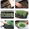 image:imageMr Pen Seed Starter Trays 5 Pack 17x10x24  Durable Plastic Growing Trays Stackable and Reusable Seedling Starter Kits for Indoor Outdoor Greenhouse GardeningBlack
