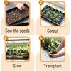 image:imageMr Pen Seed Starter Trays 5 Pack 17x10x24  Durable Plastic Growing Trays Stackable and Reusable Seedling Starter Kits for Indoor Outdoor Greenhouse GardeningBlack