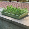 image:imageMr Pen Seed Starter Trays 5 Pack 17x10x24  Durable Plastic Growing Trays Stackable and Reusable Seedling Starter Kits for Indoor Outdoor Greenhouse GardeningMulticolor