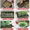 image:imageMr Pen Seed Starter Trays 5 Pack 17x10x24  Durable Plastic Growing Trays Stackable and Reusable Seedling Starter Kits for Indoor Outdoor Greenhouse GardeningMulticolor