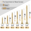 image:imageMr Pen Wood Screws Assortment Kit 152 pcs Silver Phillips Flat Head  6 Sizes 2 112 114 1 34 12 Durable Assorted Wood Screws for Woodworking amp Household Storage Box IncludedGold