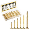 image:imageMr Pen Wood Screws Assortment Kit 152 pcs Silver Phillips Flat Head  6 Sizes 2 112 114 1 34 12 Durable Assorted Wood Screws for Woodworking amp Household Storage Box IncludedGold