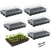 40-Cells 5-Pack