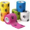 Paw Design