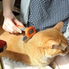 image:imageMr Pen  Dog Grooming Brush for Shedding Deshedding and Undercoat Removal  Hair Removal Tool for Pet Grooming