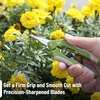 image:imageMr Pen Gardening Scissors 65 Inch  Pruning Shears for Gardening with Straight Stainless Steel Blade Garden Shears Garden Clippers Handheld Plant ShearsLight Green