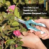 image:imageMr Pen Gardening Scissors 65 Inch  Pruning Shears for Gardening with Straight Stainless Steel Blade Garden Shears Garden Clippers Handheld Plant ShearsGreen