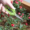image:imageMr Pen Gardening Scissors 65 Inch  Pruning Shears for Gardening with Straight Stainless Steel Blade Garden Shears Garden Clippers Handheld Plant ShearsLight Green