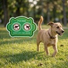 image:imageMr Pen No Peeing and No Pooping Dog Sign 2 Pack with 1 Metal Stake  DoubleSided Waterproof Please Be Respectful Keep Off Grass Signs Ideal for Lawns Gardens amp Backyards
