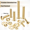 image:imageMr Pen Nuts and Bolts Assortment Kit 550 pcs  Carbon Steel M3 M4 M5 Phillips Pan Head Assorted Nuts and BoltsGold