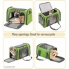 image:imageMr Pen Pet Carrier 175 x 112 x 115 Medium Size Orange  Portable Travel Carrier for Small Pets Cats amp Small Dogs Breathable Mesh Safety Inner LeashGreen