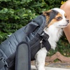 image:imageMr Pen Pet Carrier Backpack Weighing Up to 12 lbs  Adjustable Dog Carrier Backpacks