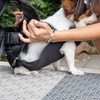 image:imageMr Pen Pet Carrier Backpack Weighing Up to 12 lbs  Adjustable Dog Carrier Backpacks