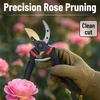 image:imageMr Pen Pruning Shears Garden Shears 8 Professional Titanium Blade  Garden Scissors Gardening Shears