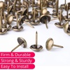 image:imageMr Pen Upholstery Tacks 100 Pack Furniture Tacks Decorative Nail Heads  Upholstery Tacks for Furniture Decorative Tacks Upholstery Pins Upholstery Nails Antique Furniture Brass Tacks