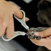image:imageMr Pen Cat Nail Clipper Stainless Steel  Professional Sharp Cat Claw Trimmer for Small and Medium Cats Pet Nail Clipper with Sturdy Non Slip HandleBeige