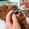 image:imageMr Pen Cat Nail Clipper Stainless Steel  Professional Sharp Cat Claw Trimmer for Small and Medium Cats Pet Nail Clipper with Sturdy Non Slip HandleBlue  Gray
