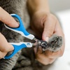 image:imageMr Pen Cat Nail Clipper Stainless Steel  Professional Sharp Cat Claw Trimmer for Small and Medium Cats Pet Nail Clipper with Sturdy Non Slip HandleBlue  White