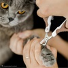 image:imageMr Pen Cat Nail Clipper Stainless Steel  Professional Sharp Cat Claw Trimmer for Small and Medium Cats Pet Nail Clipper with Sturdy Non Slip HandleBrown