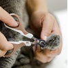 image:imageMr Pen Cat Nail Clipper Stainless Steel  Professional Sharp Cat Claw Trimmer for Small and Medium Cats Pet Nail Clipper with Sturdy Non Slip HandleBrown