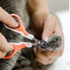 image:imageMr Pen Cat Nail Clipper Stainless Steel  Professional Sharp Cat Claw Trimmer for Small and Medium Cats Pet Nail Clipper with Sturdy Non Slip HandleCoral