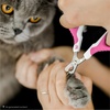 image:imageMr Pen Cat Nail Clipper Stainless Steel  Professional Sharp Cat Claw Trimmer for Small and Medium Cats Pet Nail Clipper with Sturdy Non Slip HandleDark Pink