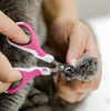 image:imageMr Pen Cat Nail Clipper Stainless Steel  Professional Sharp Cat Claw Trimmer for Small and Medium Cats Pet Nail Clipper with Sturdy Non Slip HandleDark Pink