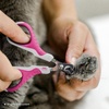 image:imageMr Pen Cat Nail Clipper Stainless Steel  Professional Sharp Cat Claw Trimmer for Small and Medium Cats Pet Nail Clipper with Sturdy Non Slip HandleGreyFandango Violet