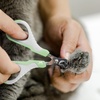 image:imageMr Pen Cat Nail Clipper Stainless Steel  Professional Sharp Cat Claw Trimmer for Small and Medium Cats Pet Nail Clipper with Sturdy Non Slip HandleGreyTea Green