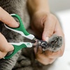 image:imageMr Pen Cat Nail Clipper Stainless Steel  Professional Sharp Cat Claw Trimmer for Small and Medium Cats Pet Nail Clipper with Sturdy Non Slip HandleGreen  White
